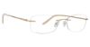 Picture of Totally Rimless Eyeglasses Briolette 250