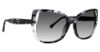 Picture of Trina Turk Sunglasses TT Jicaro