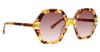 Picture of Trina Turk Sunglasses TT Lummi