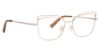 Picture of Trina Turk Eyeglasses Astor