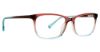 Picture of Trina Turk Eyeglasses Daisey