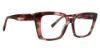 Picture of Trina Turk Eyeglasses Daryl