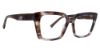 Picture of Trina Turk Eyeglasses Daryl