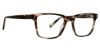 Picture of Trina Turk Eyeglasses Arli