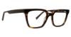 Picture of Trina Turk Eyeglasses Thomasin