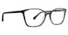 Picture of Trina Turk Eyeglasses Cece