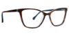 Picture of Trina Turk Eyeglasses Jaida