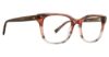 Picture of Trina Turk Eyeglasses Peta