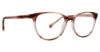 Picture of Trina Turk Eyeglasses Tatum