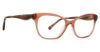 Picture of Trina Turk Eyeglasses Brinn