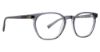 Picture of Trina Turk Eyeglasses Radha