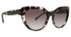 Picture of Trina Turk Sunglasses Comino