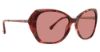 Picture of Trina Turk Sunglasses Antibes