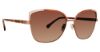 Picture of Trina Turk Sunglasses Balos