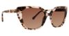 Picture of Trina Turk Sunglasses Kamari