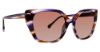Picture of Trina Turk Sunglasses Kamari
