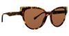 Picture of Trina Turk Sunglasses Cala