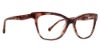 Picture of Trina Turk Eyeglasses Serena