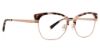 Picture of Trina Turk Eyeglasses Farrah
