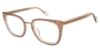Picture of True Religion Eyeglasses TRU T2012