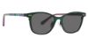 Picture of Vera Bradley Sunglasses VB Shyla