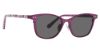 Picture of Vera Bradley Sunglasses VB Shyla