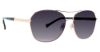 Picture of Vera Bradley Sunglasses VB Mayah