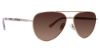 Picture of Vera Bradley Sunglasses VB Parker