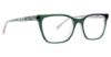 Picture of Vera Bradley Eyeglasses VB Hartlee