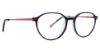 Picture of Vera Bradley Eyeglasses VB Belle