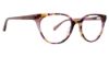 Picture of Vera Bradley Eyeglasses Minam