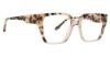 Picture of Vera Bradley Eyeglasses Gardiner