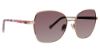 Picture of Vera Bradley Sunglasses Vb Aylin