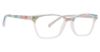 Picture of Vera Bradley Eyeglasses Vb Dylan
