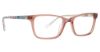 Picture of Vera Bradley Eyeglasses Vb Mallie