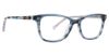 Picture of Vera Bradley Eyeglasses Vb Finn