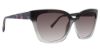 Picture of Vera Bradley Sunglasses Lilith