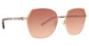 Picture of Vera Bradley Sunglasses Iona