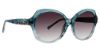 Picture of Vera Bradley Sunglasses Paloma