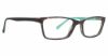 Picture of Vera Bradley Eyeglasses Shawna