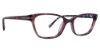 Picture of Vera Bradley Eyeglasses Sela