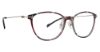 Picture of Vera Bradley Eyeglasses Laney