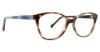 Picture of Vera Bradley Eyeglasses Brienne