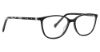 Picture of Vera Bradley Eyeglasses Colene
