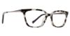 Picture of Vera Bradley Eyeglasses Shaun