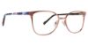Picture of Vera Bradley Eyeglasses Sutton