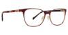Picture of Vera Bradley Eyeglasses Saylor