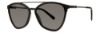 Picture of Vera Wang Sunglasses V612