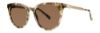 Picture of Vera Wang Sunglasses SHAMARI