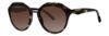 Picture of Vera Wang Sunglasses V608